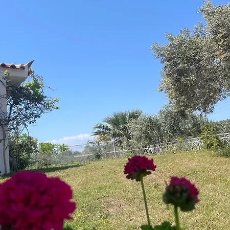 Prázdninový dům Poly's Hill-house Close To The Plépi